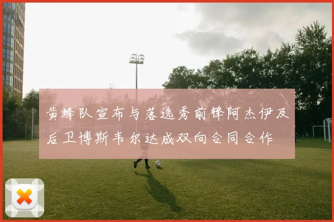 黄蜂队宣布与落选秀前锋阿杰伊及后卫博斯韦尔达成双向合同合作