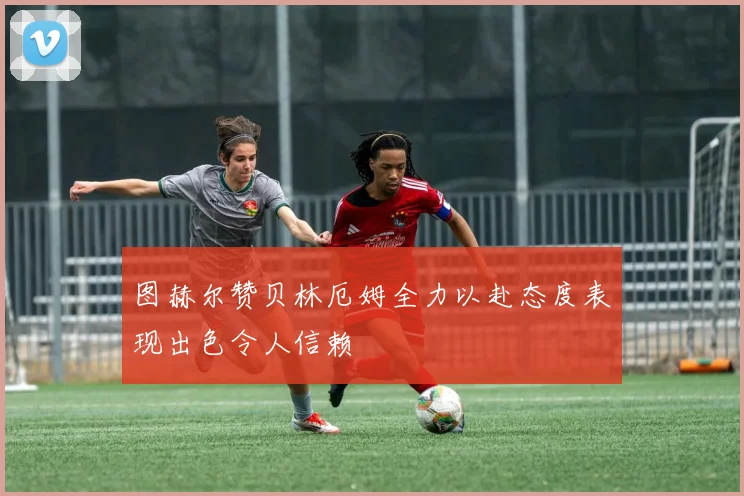 图赫尔赞贝林厄姆全力以赴态度表现出色令人信赖